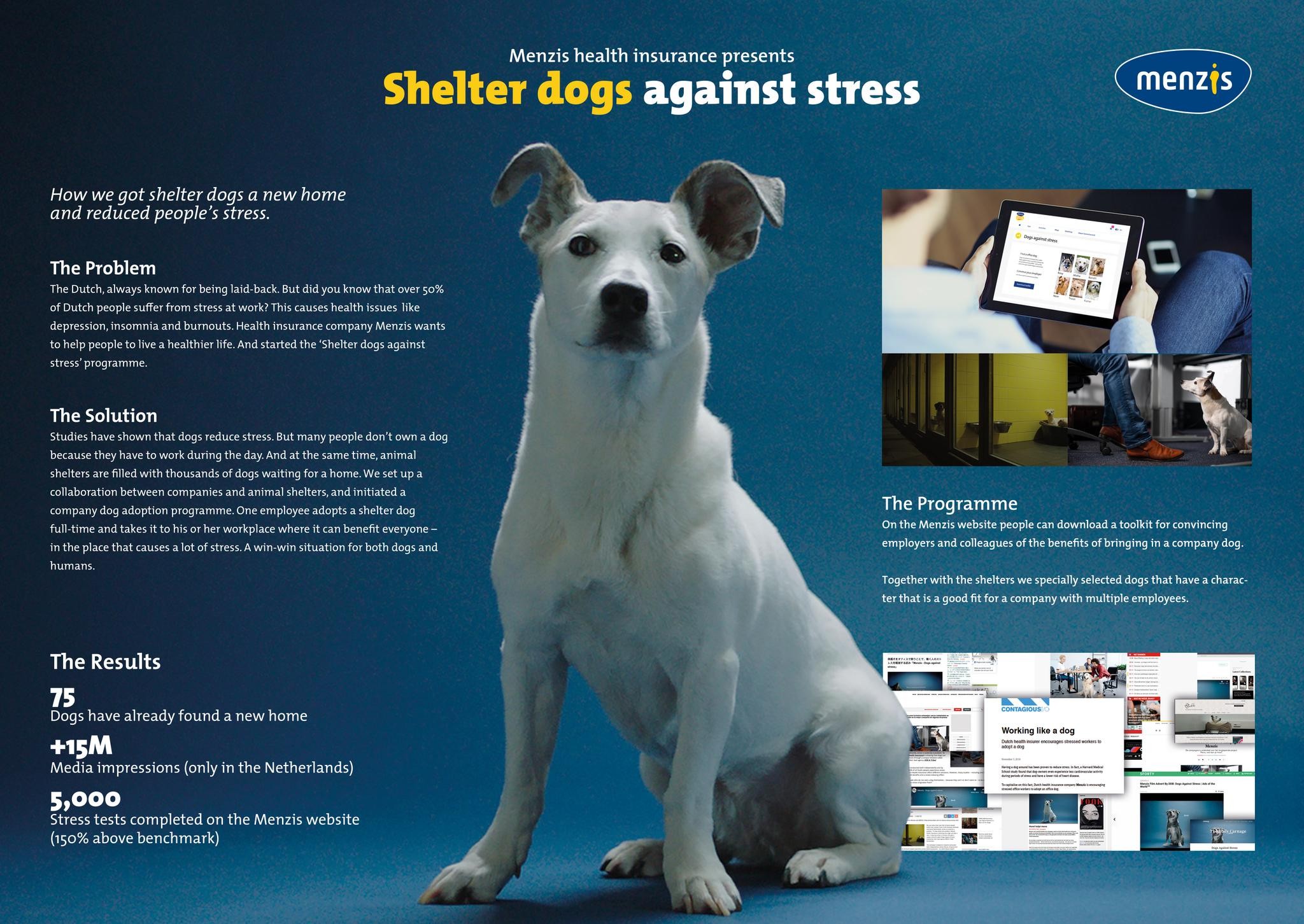 Shelter dogs against stress