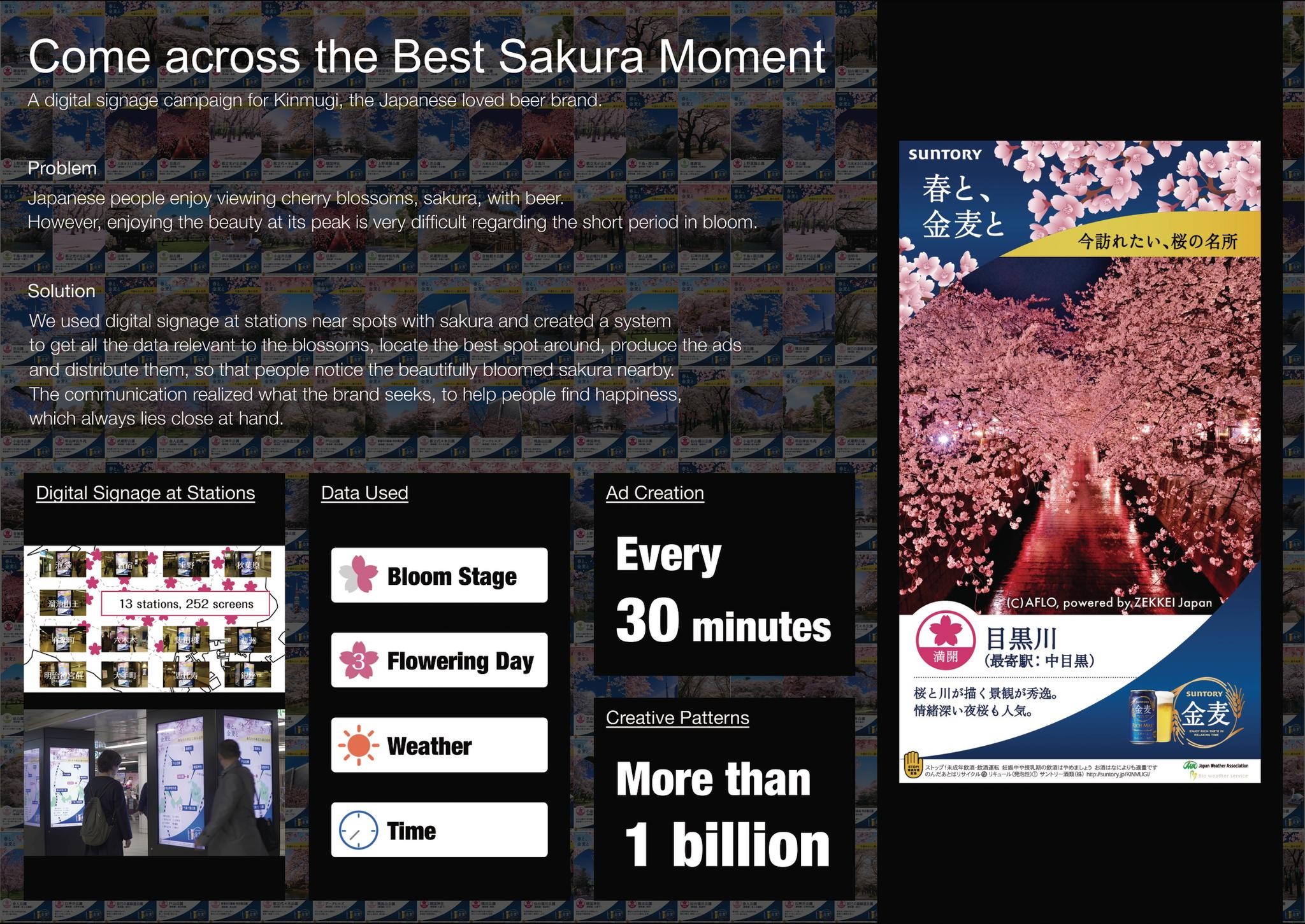 Come Across the Best Sakura Moment