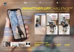 What The Fluff Challenge 2.0