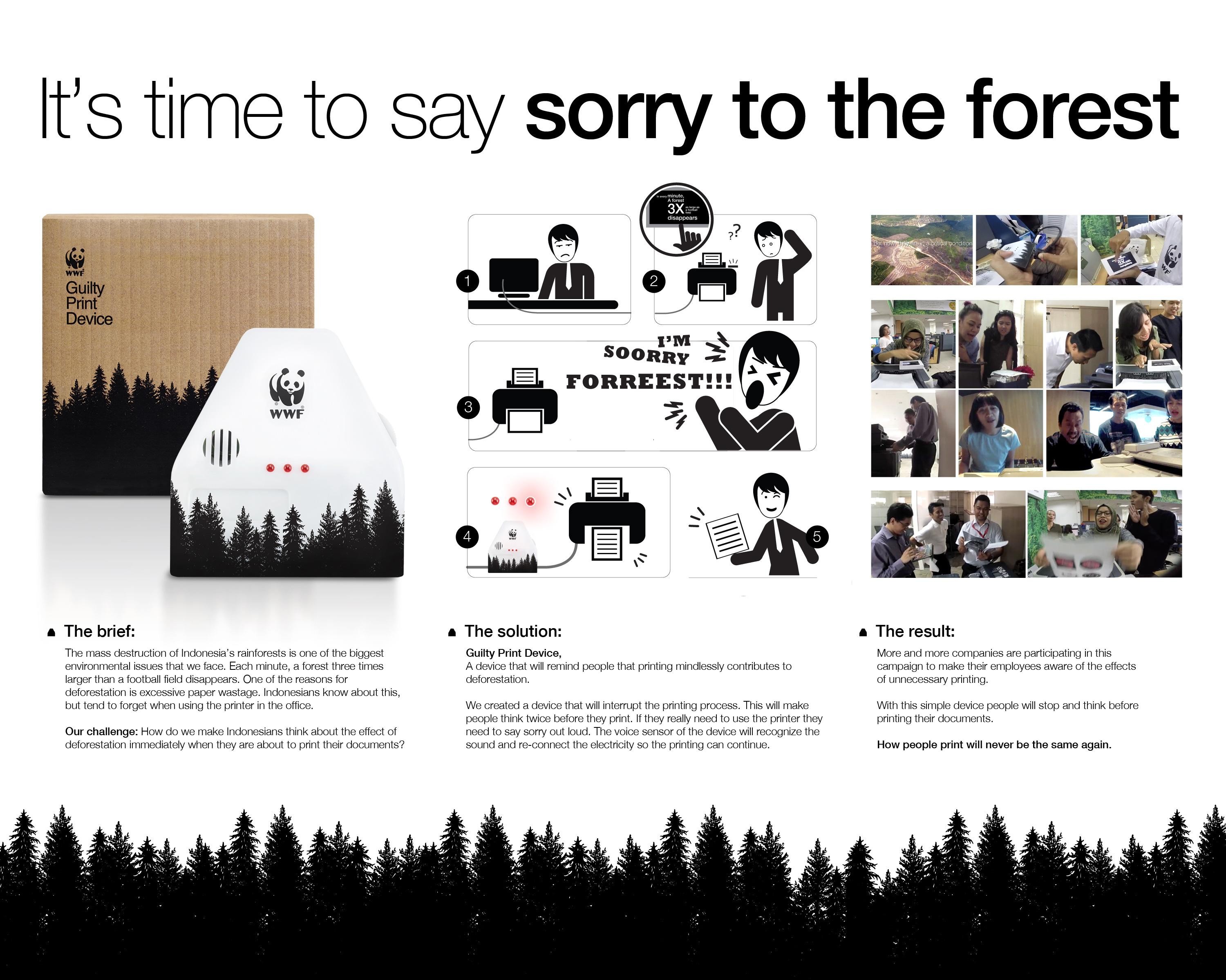 It's Time to Say Sorry to the Forest