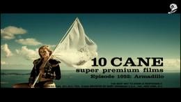 10 CANE RUM
