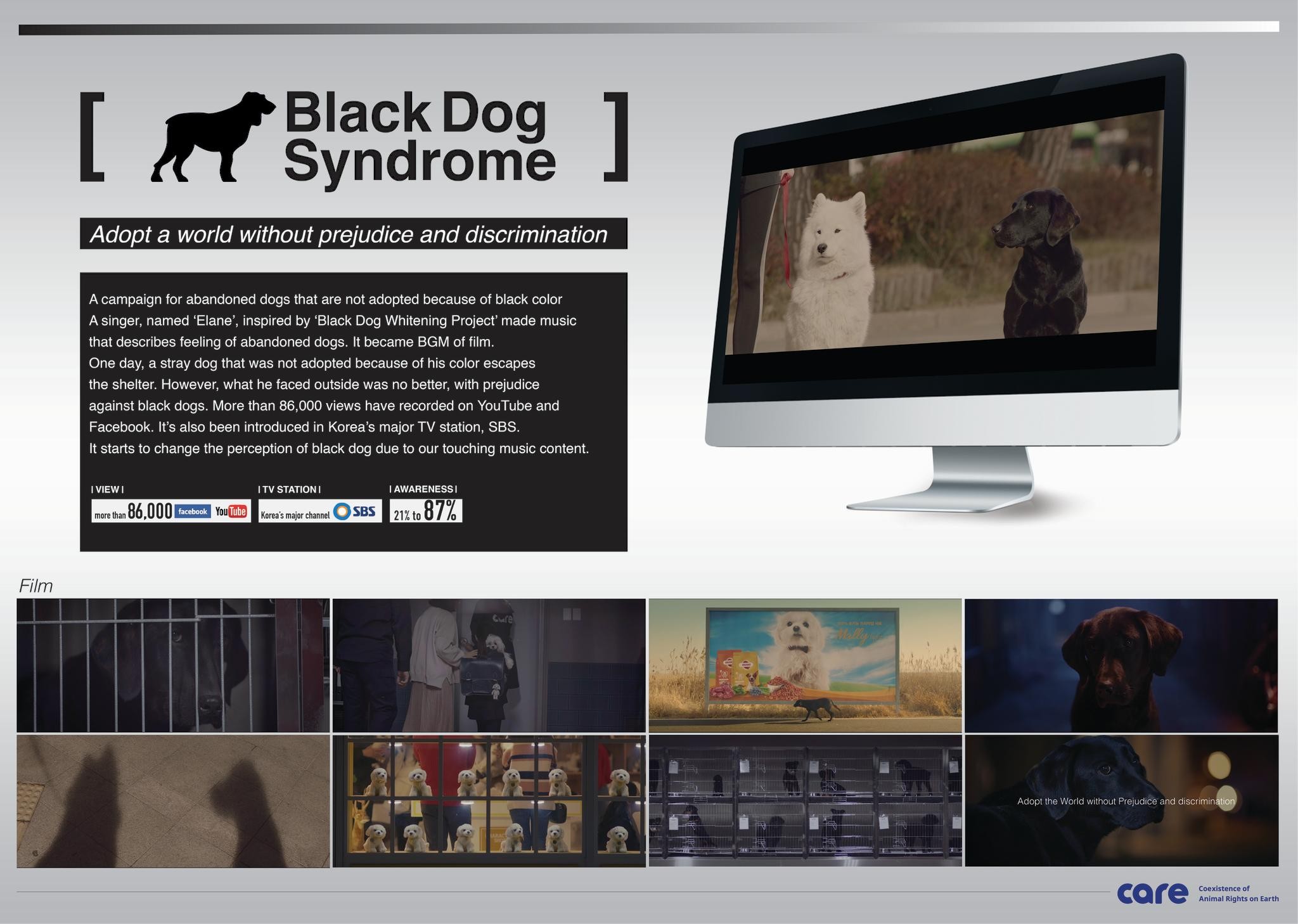 Black dog syndrome