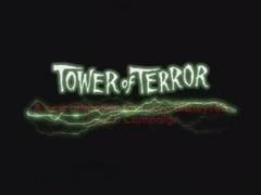 TOWER OF TERROR/TOKYO DISNEYSEA ATTRACTION