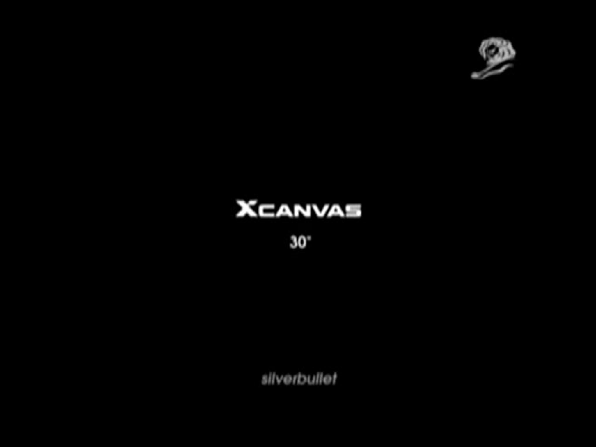 XCANVAS BROADWAY LCD TV