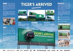 Tiger's arrived