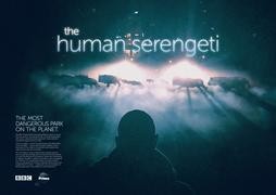 The Human Serengeti