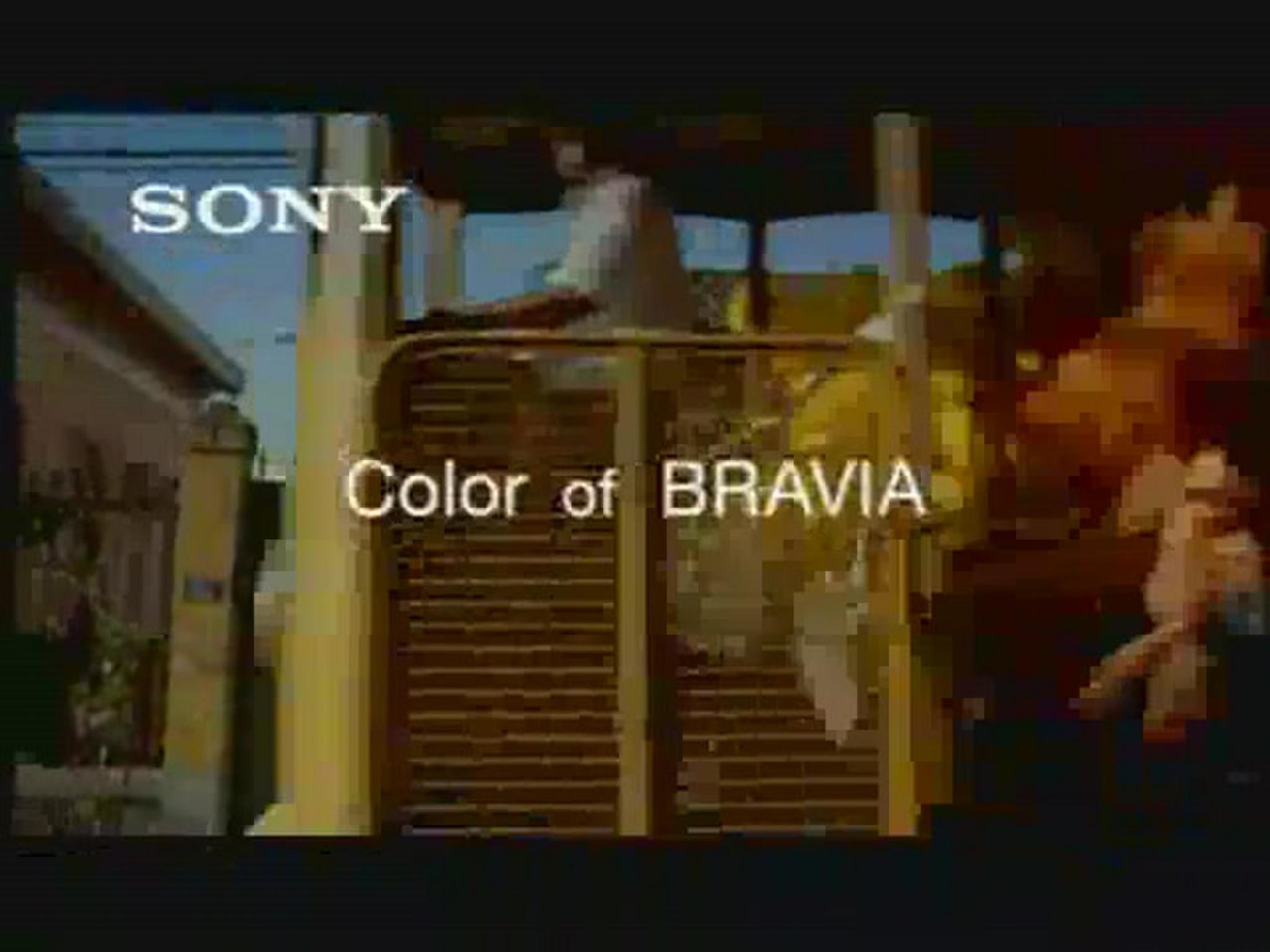 SONY BRAVIA TV