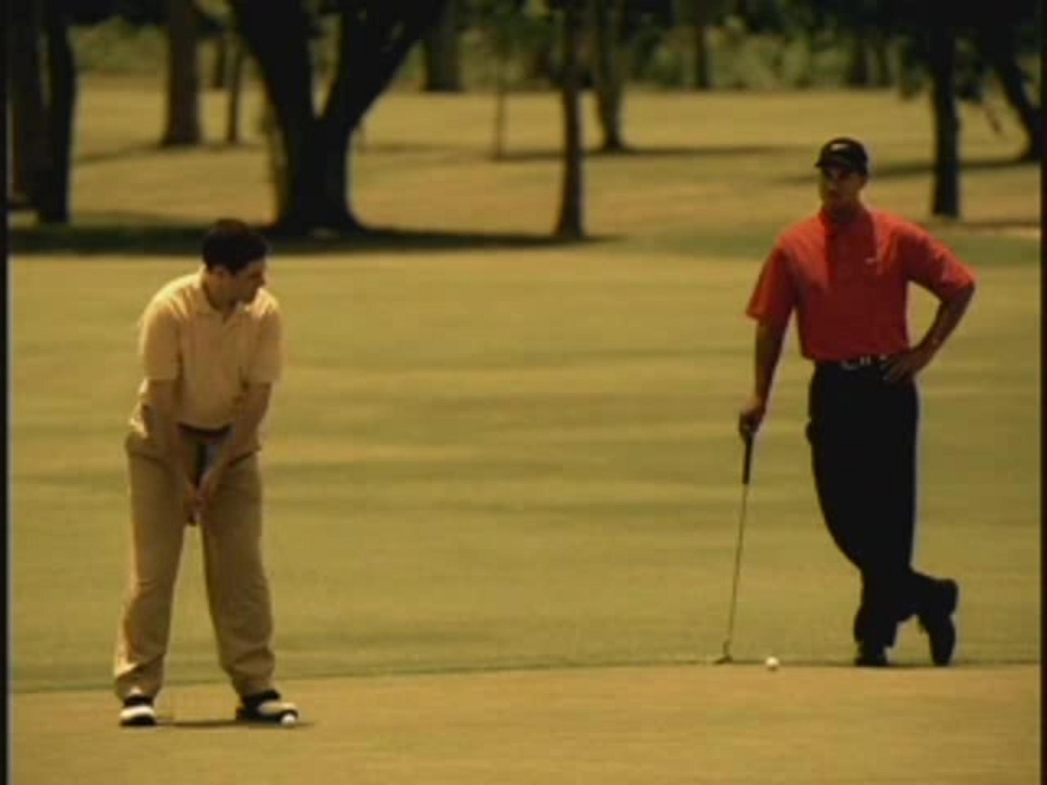 TIGER WOODS PGA TOUR 2006 VIDEO GAME
