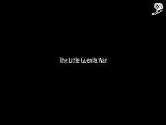 THE LITTLE GUERRILLA WAR