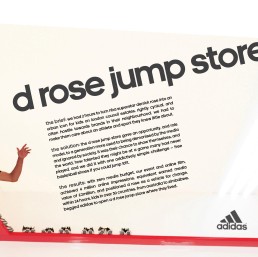 Adidas hotsell jump store